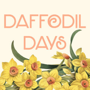 Daffodil Days - 1 Bundle